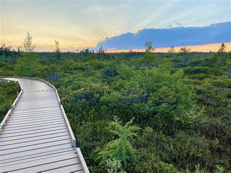Bog Walk Brothel