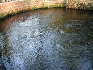 Boiling Spring Lakes Brothel