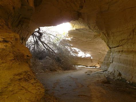 Cave Spring Brothel