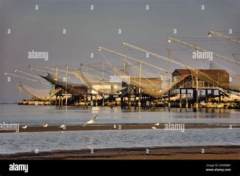 Cesenatico Brothel