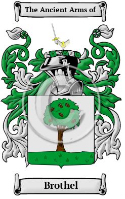 Crest Brothel