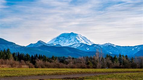 Enumclaw Brothel