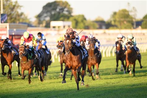 Fawkner Brothel