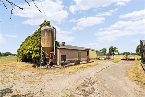 Marsdijk Brothel