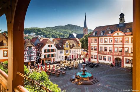 Neustadt An Der Weinstrasse Brothel