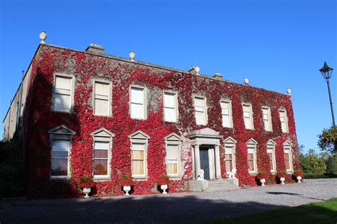 Cabinteely Burdel