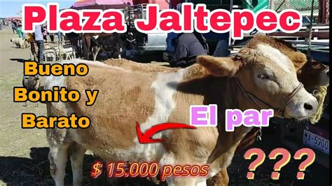 Jaltepec Burdel
