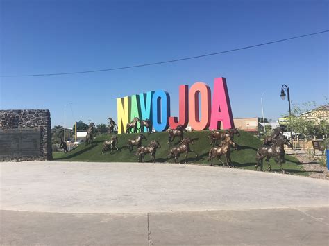 Navojoa Burdel