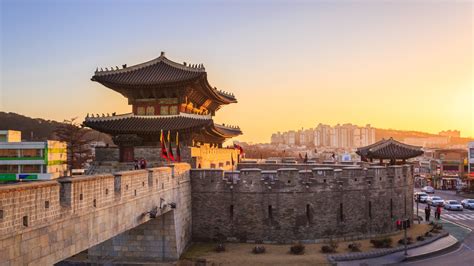 Suwon Burdel
