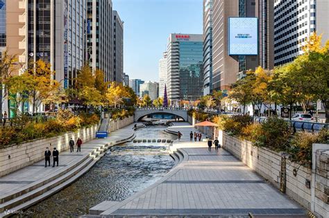 Yeongdong Burdel
