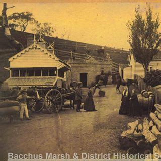 Bacchus Marsh Find A Prostitute
