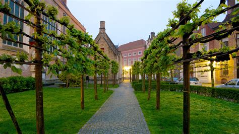 Buggenhout Find A Prostitute