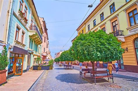 Chernivtsi Find A Prostitute