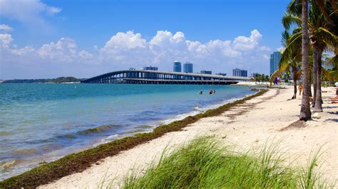 Key Biscayne Find A Prostitute