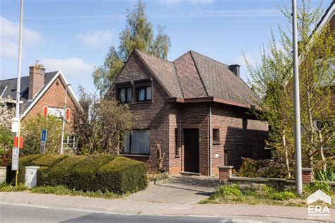Liedekerke Find A Prostitute