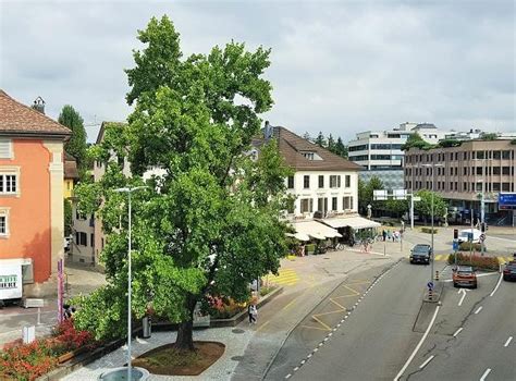 Rapperswil Find A Prostitute