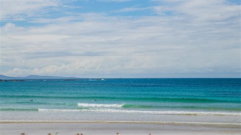 Woolgoolga Find A Prostitute