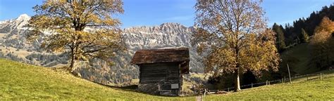 Frutigen Hure