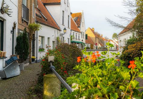 Lissewege Hure