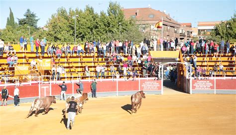 Boadilla Del Monte Prostituta