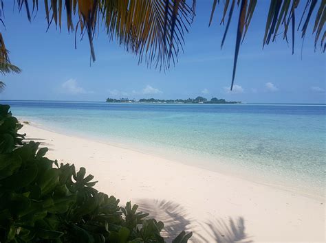 Felidhoo Prostituta