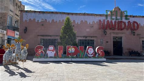 Salinas De Hidalgo Prostituta