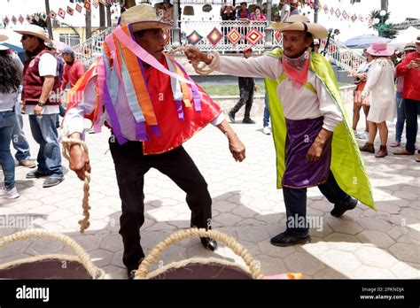 Soltepec Prostituta