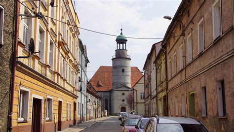 Ziebice Prostituta
