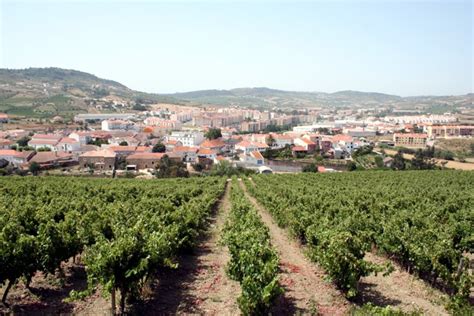 Arruda Dos Vinhos Prostitute