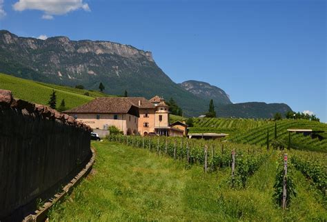 Caldaro Sulla Strada Del Vino Prostitute
