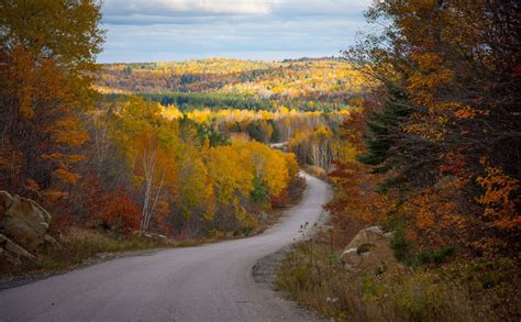 Elliot Lake Prostitute
