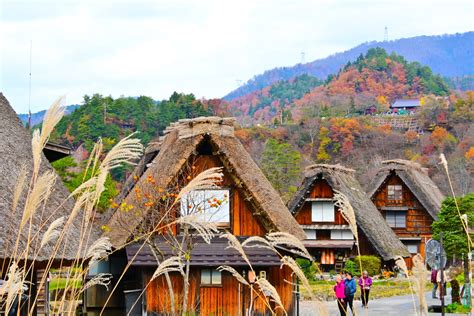Gifu Shi Prostitute
