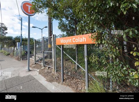 Mount Colah Prostitute