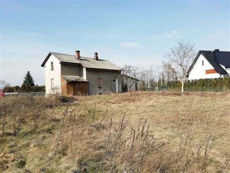 Nowa Sarzyna Prostitute