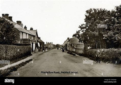 Paddock Wood Prostitute