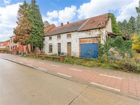 Rotselaar Prostitute