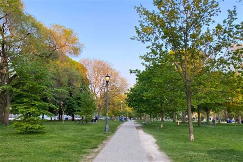 Trinity Bellwoods Prostitute
