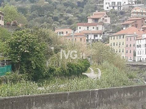 Varazze Prostitute