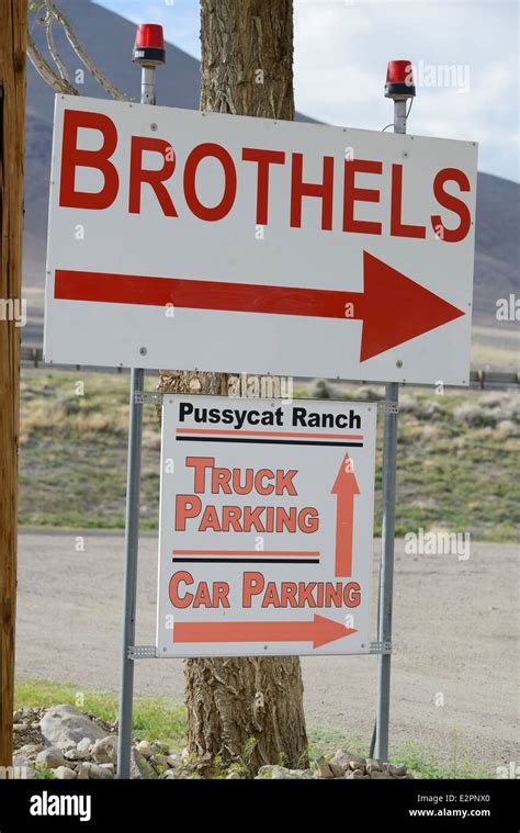 Winnemucca Prostitute