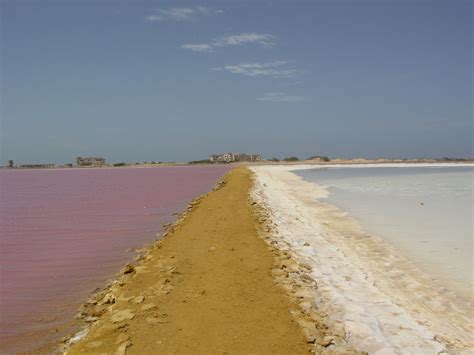 Cardonal Puta