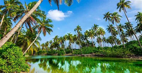 Hithadhoo Puta
