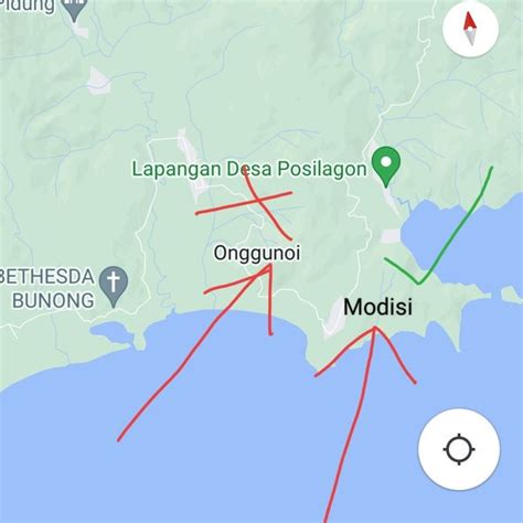 Modisi Puta