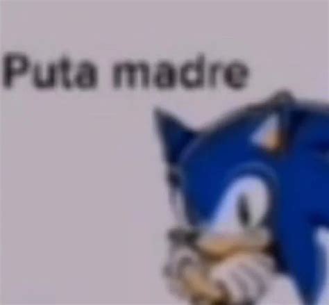 Modra Puta