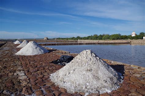 Salinas De Hidalgo Puta