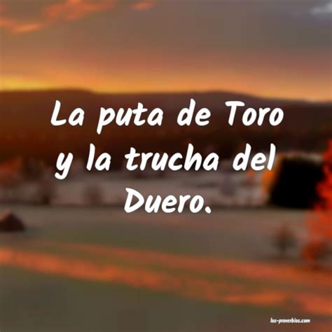 Toro Puta