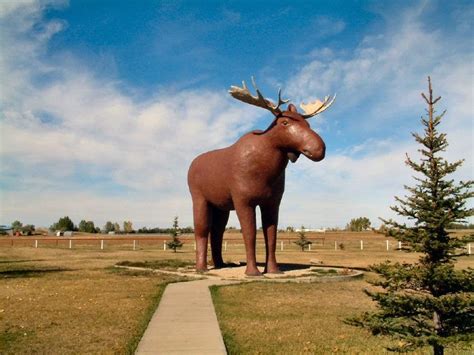 Moose Jaw Pute