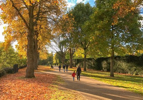 Parc Dorset Pute