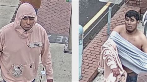 Gresham Park Sex Escort