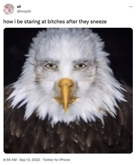 Aigle Whore