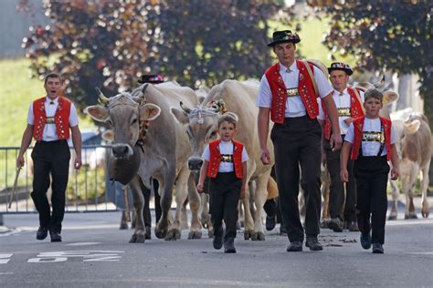 Appenzell Whore